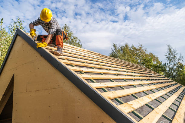 Roof Gutter Cleaning in Ashwaubenon, WI