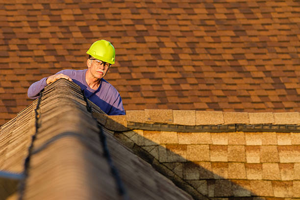 Best Best Roofing Contractors  in Ashwaubenon, WI